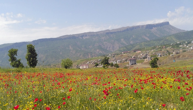 Baharda Derecik galerisi resim 11