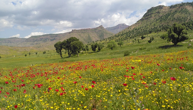 Baharda Derecik galerisi resim 12