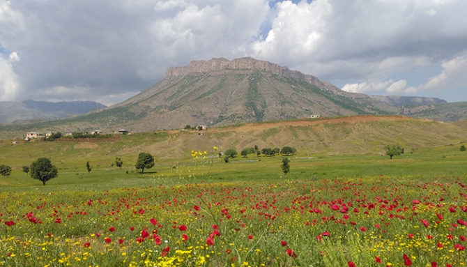 Baharda Derecik galerisi resim 13