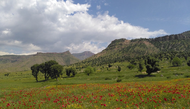 Baharda Derecik galerisi resim 14