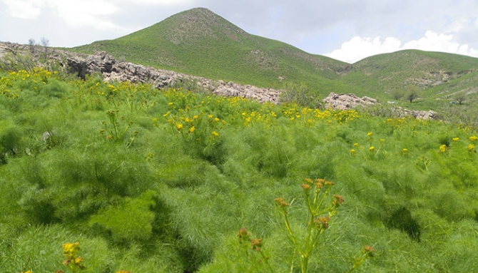 Baharda Derecik galerisi resim 20